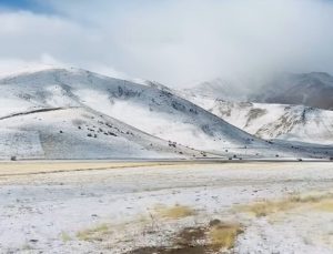 Van’da yılın ilk karı şehir merkezine düştü.