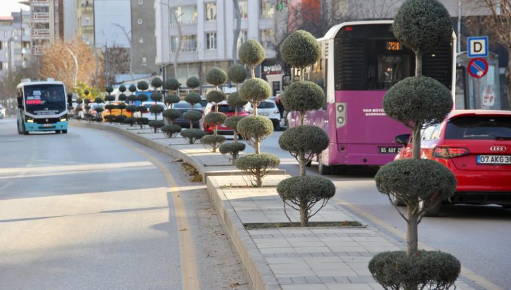 Van’da Şehir Görünümü Değişiyor: Dekoratif Budama Çalışmalarıyla Yeşil Alanlar Canlanıyor