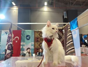Van’da Büyük Buluşma: Türkiye’nin Üçüncü Büyük Fuarı Kapılarını Açtı!
