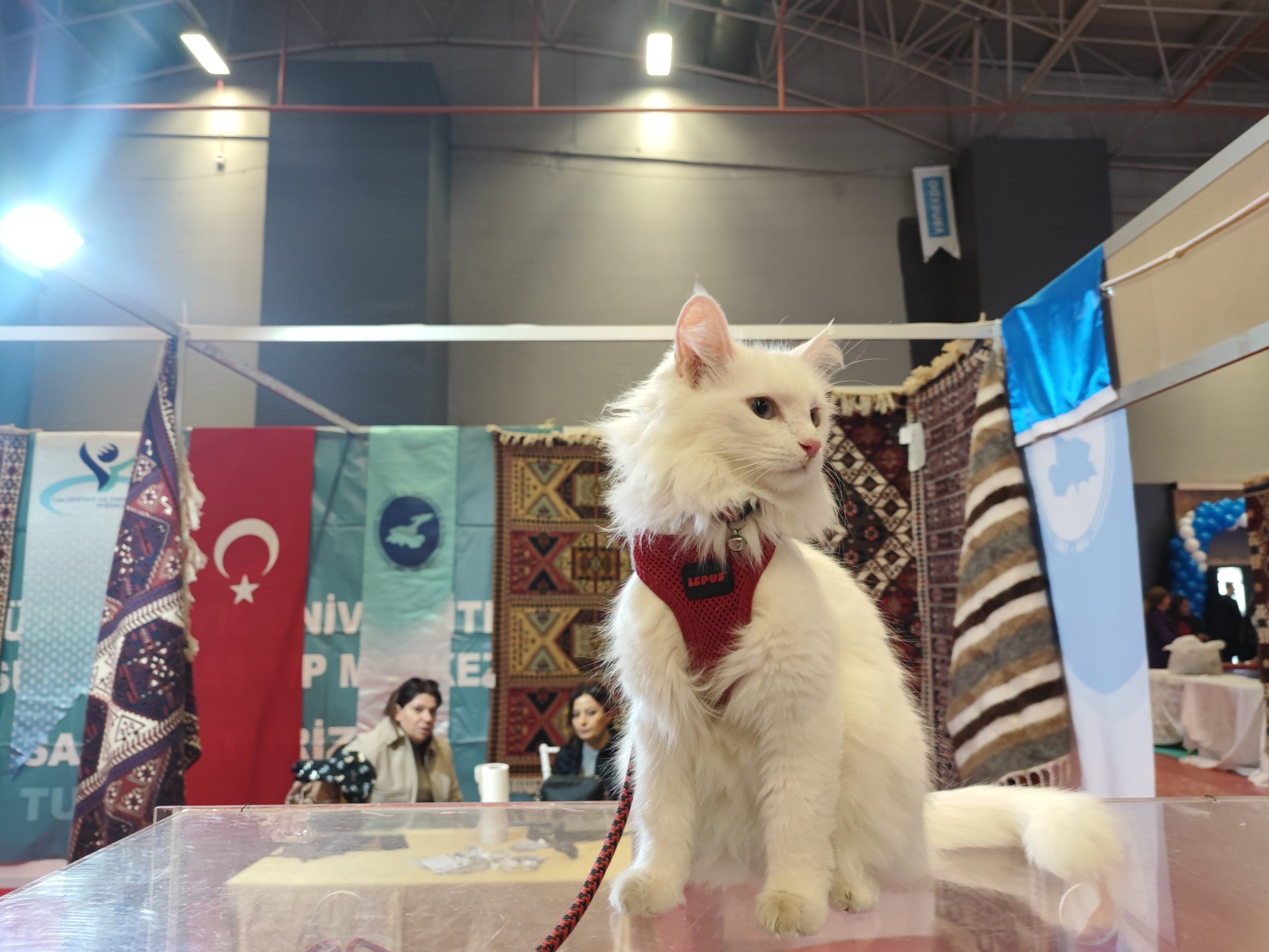 Van’da Büyük Buluşma: Türkiye’nin Üçüncü Büyük Fuarı Kapılarını Açtı!
