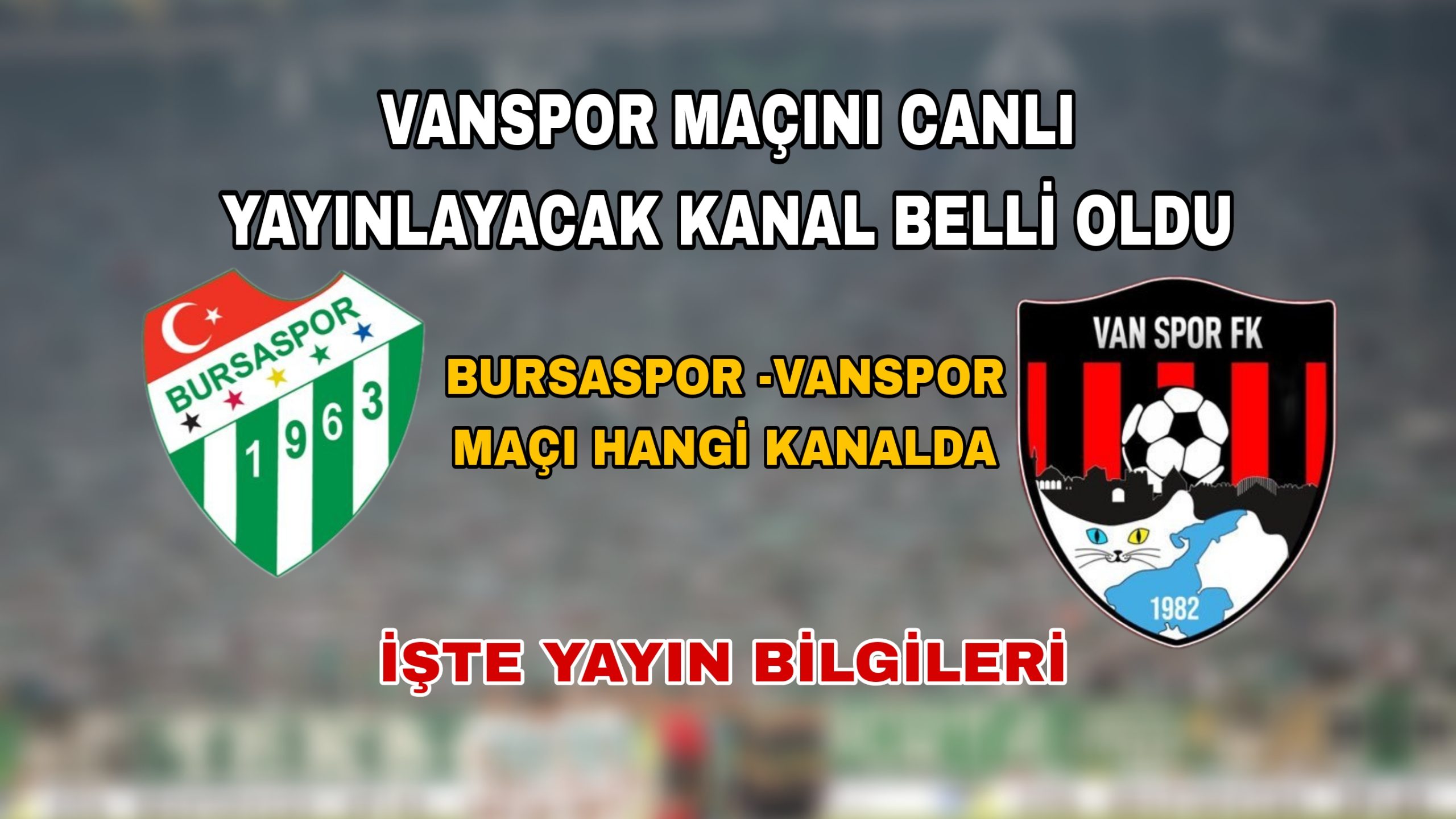 Bursaspor – Vanspor Maçı Ziraat Türkiye Kupası 4. Turunda Karşı Karşıya Geliyor!