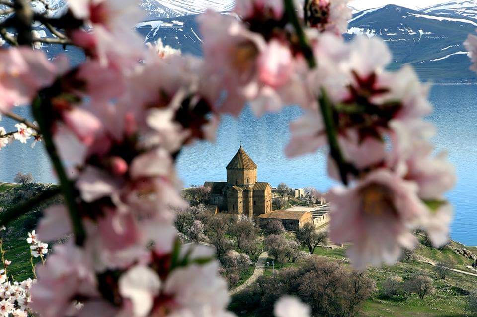 Van Akdamar Adası’nda Badem Çiçeği Festivali Foto Safari Başlıyor!