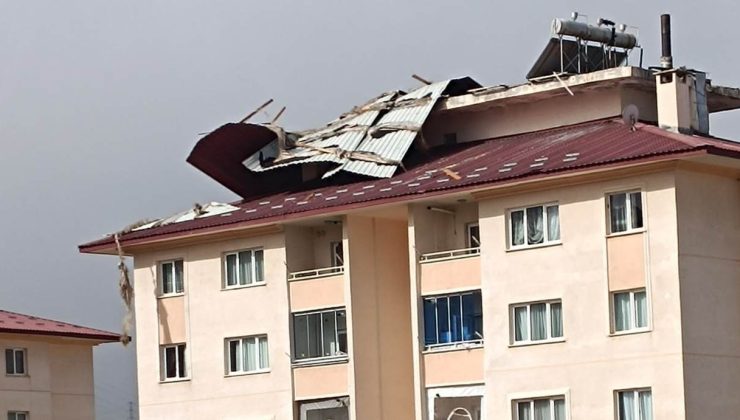 Van’da Şiddetli Rüzgar Çatıları Uçurdu, Ağaçları Kökünden Söküp Devrildi