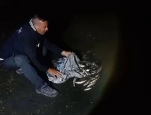 Van’da 60 Kilo Kaçak Avlanan Canlı İnci Kefali Ele Geçirildi