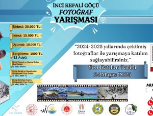 İnci Kefali Göçü Fotoğraf Yarışması Başlıyor