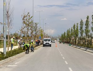 Van Büyükşehir Belediyesi’nden Sahil Yoluna Bahar Dokunuşu – Park ve Bahçelerde Yenileme Çalışmaları Başladı