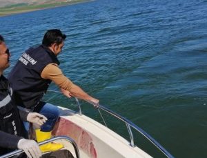 Van Gölü ve Çevresinde Sazangiller Av Yasağı Başladı! Peki Yasak Ne Zaman Sona Erecek?