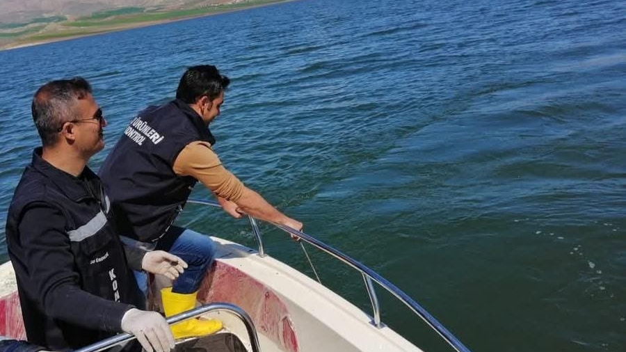 Van Gölü ve Çevresinde Sazangiller Av Yasağı Başladı! Peki Yasak Ne Zaman Sona Erecek?