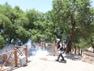 VAN’DA TARİHİ VE TURİSTİK YERLER İLAÇLANIYOR