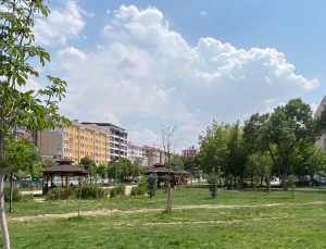 Vanlılardan DSİ Arsası İçin Millet Bahçesi Talebi: “Sesimize Kulak Verin”