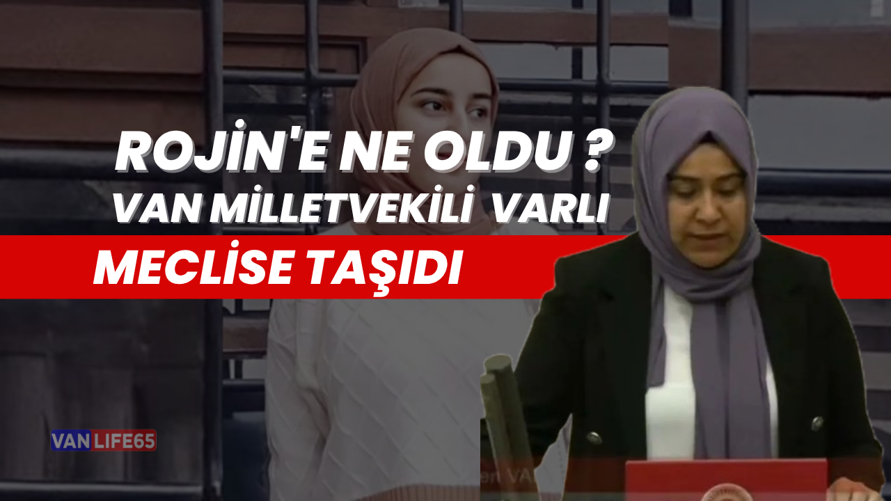 Rojin Kabaiş’in Şüpheli Ölümü ve Van’daki Kadın Cinayetleri Meclis Gündeminde