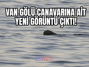 Van Gölü Canavarı Yeniden Görüldü mü? Gizemli Varlık İskeleden Fotoğraflandı!