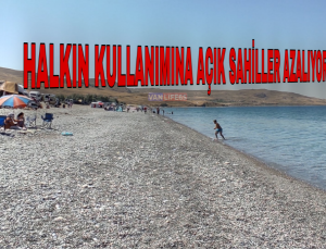 HALKA AÇIK VAN DENİZİ KALMADI MI?