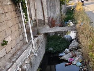 Van’da İstasyon Mahallesi’ndeki Dere Çöplüğe Döndü: Van Gölü Tehlikede!