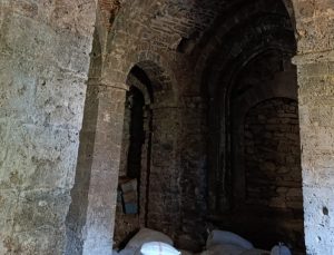 Tarihi Manastır Samanlığa Dönüştü! Van’ın Kültürel Mirası Kaderine Terk Edildi