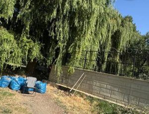 Van’da Vatandaşlar Tarihi Horhor Çeşmesi Yolunu Kendi İmkânlarıyla Temizledi