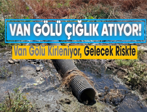 Van Gölü’nde Çevre Katliamı Bitmiyor: Tatvan’da Kanalizasyon Skandalı