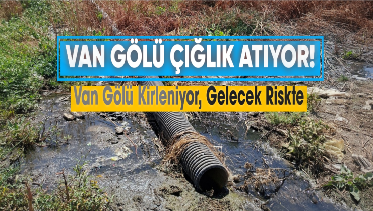 Van Gölü’nde Çevre Katliamı Bitmiyor: Tatvan’da Kanalizasyon Skandalı