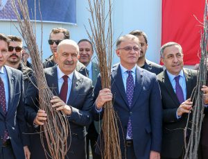 VAN’DA TARIM ATAĞI: 5 MİLYON FİDAN HEDEFİNE ADIM ADIM