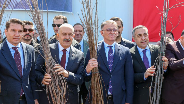 VAN’DA TARIM ATAĞI: 5 MİLYON FİDAN HEDEFİNE ADIM ADIM