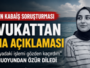 Rojin Kabaiş’in Avukatından DNA Açıklaması: “Dosyadaki İşlemi Gözden Kaçırdım”